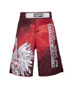 Extreme Hobby Spodenki MMA Polska Czerwone