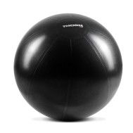 THORN+fit Piłka Treningowa 65cm - sklep MMAniak.pl